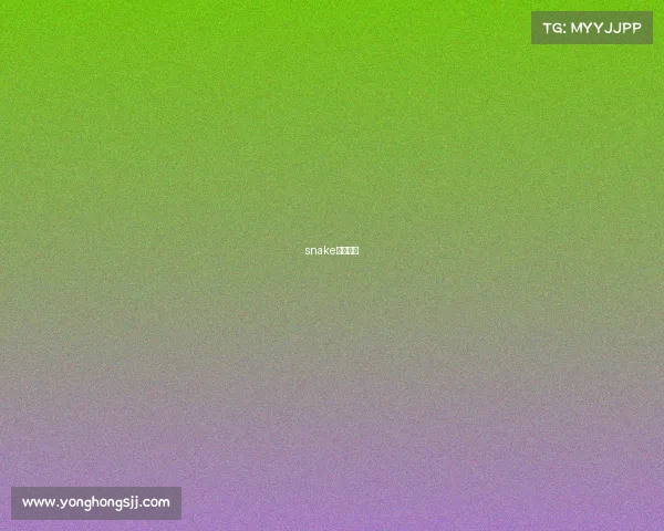 snake战队辅助 snake战队辅助