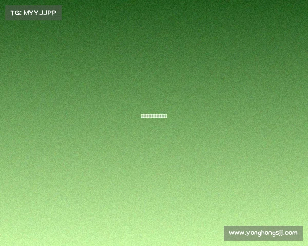 湛江电子竞技报名地点